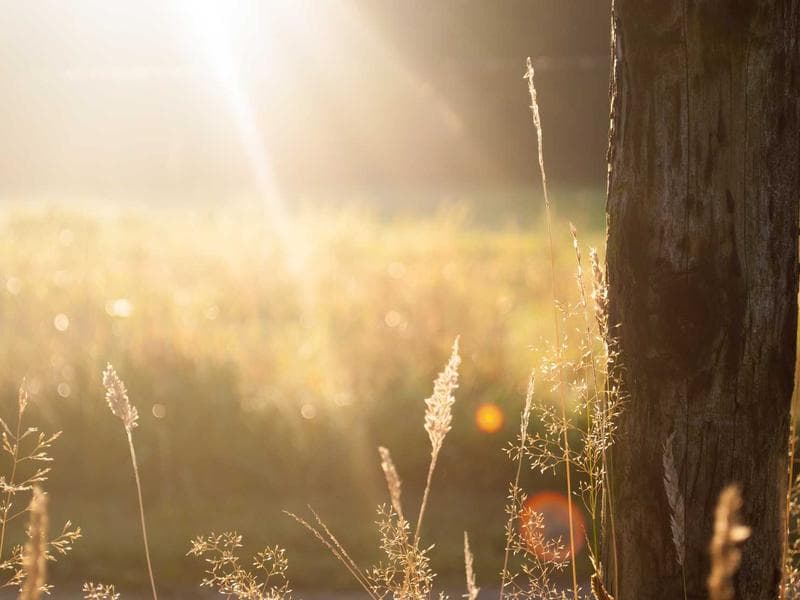 Finestre Alluminio/Legno