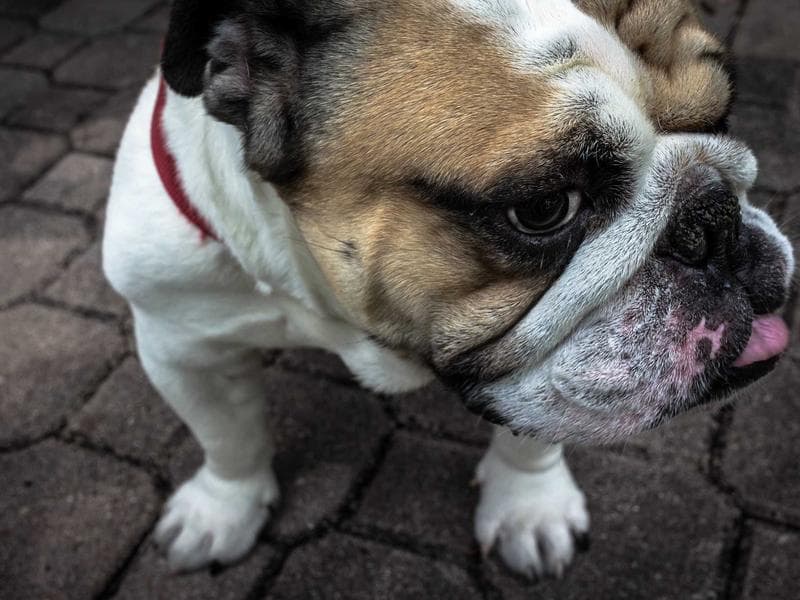 Portoni Garage Sezionali