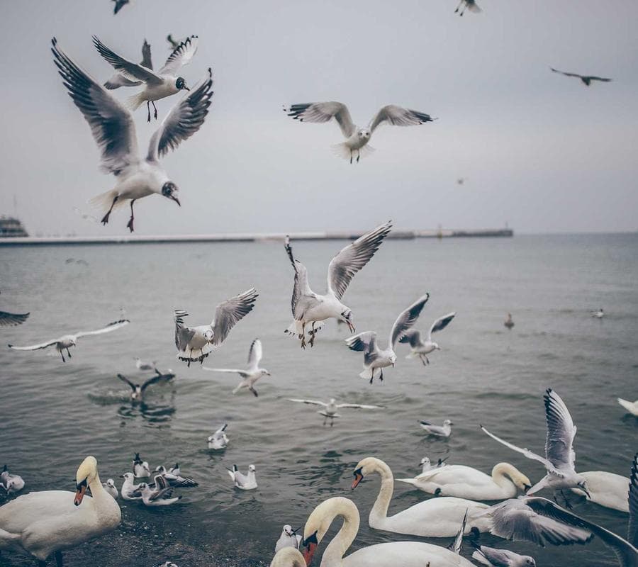 Appartamenti Luxury — Foligno