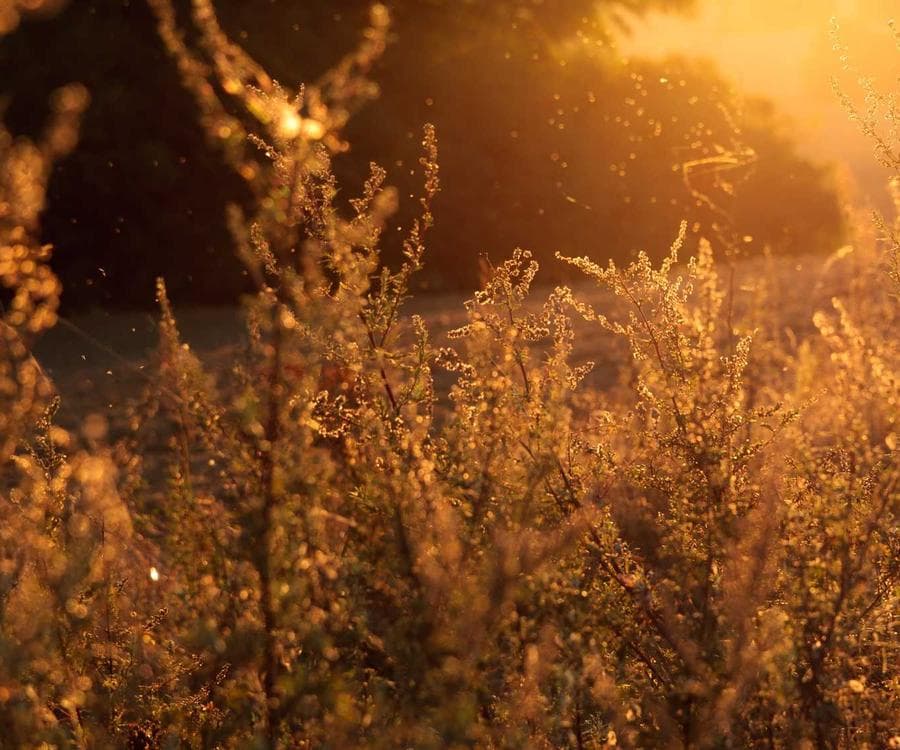 Cantina Vinicola — Montefalco